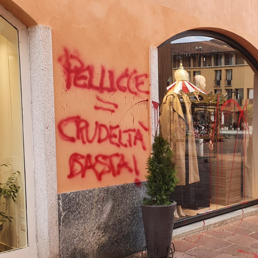 «Pellicce uguale crudeltà. Basta!». Vandali imbrattano negozio in pieno centro