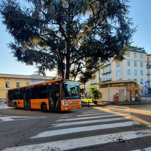 Via le transenne: piazza Trento e Trieste completamente riaperta al traffico