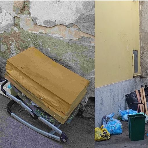 FOTO. La raccolta rifiuti per molti, ma per non tutti: «Sconvolto da questa discarica a cielo aperto»