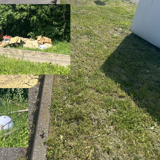 A destra il prato del contenitore rifiuti tessili è tornato pulito, intanto nella zona del mercato affiorano altri rifiuti