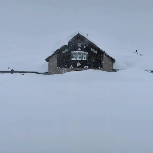 foto dalla pagina Facebook del rifugio