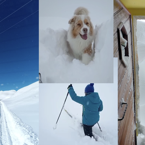 L'effetto della nevicata e il ritorno al sereno. Immagini per cortesia del rifugio e del Cai di Busto