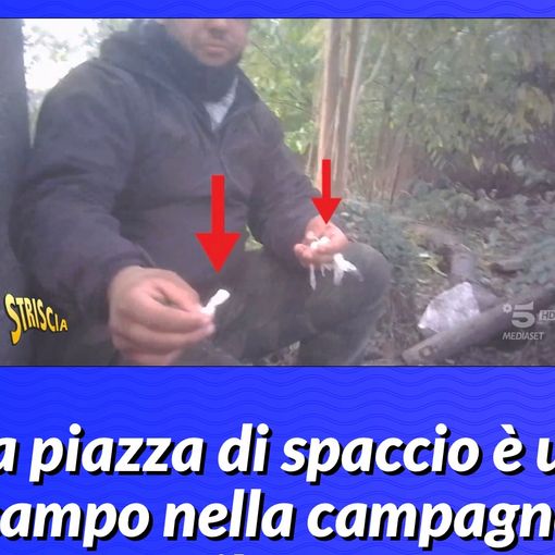 VIDEO. Striscia e il market della droga nella campagna di Busto Garolfo