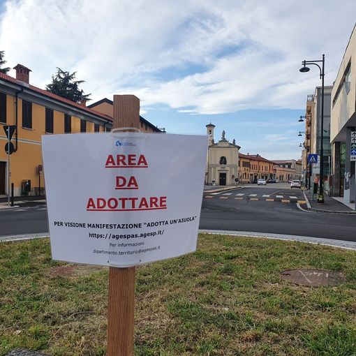 «Cari bustesi, vi va di adottare la nuova rotonda?»