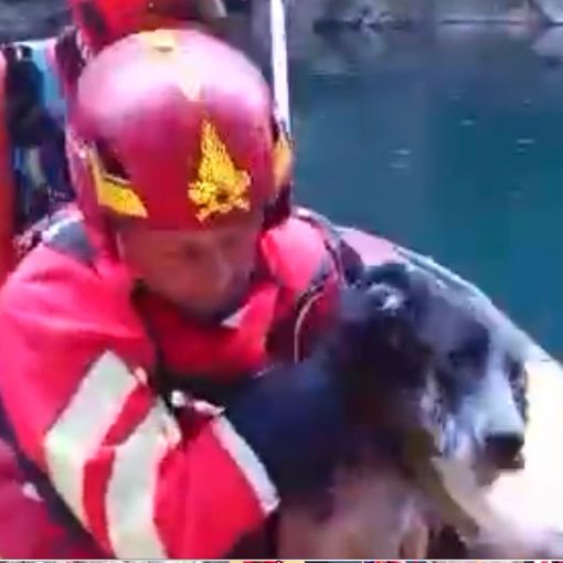 Alcune immagini del salvataggio