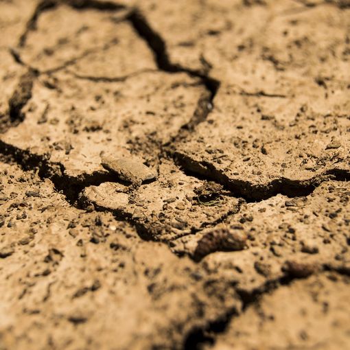 Lombardia, Coldiretti sulla crisi idrica: «Passare da logica emergenza a prevenzione»
