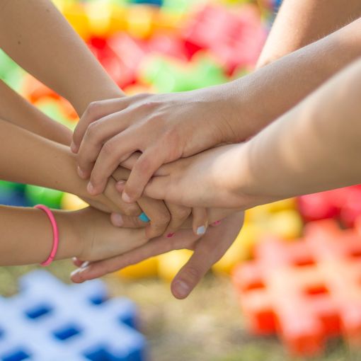 Servizio civile, i progetti di Confcooperative Insubria