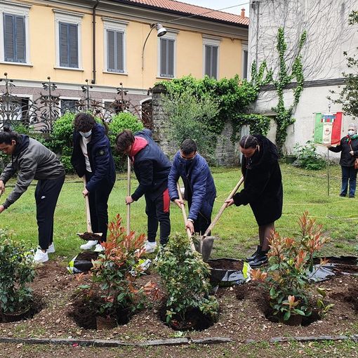 Busto, cresce grazie ai giovani il Giardino della Riconoscenza. «Siate partigiani del presente»
