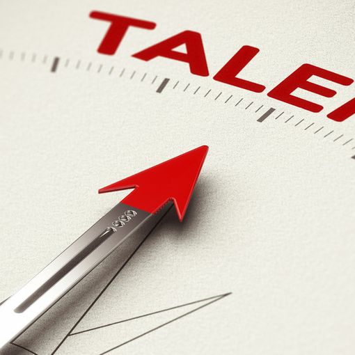 La notte dei talenti con il Verri’s got talent