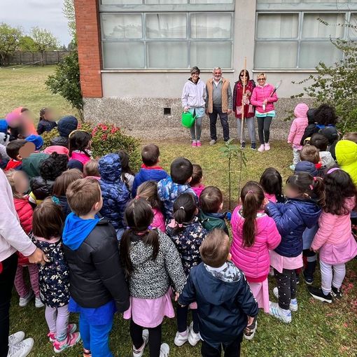 Una Paulownia per la scuola dell’infanzia Beata Giuliana. A metterla a dimora è il consigliere all’ecologia