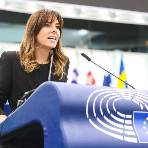 Energia, Tovaglieri interroga Commissione Ue su rincari pellet: «Introvabile, perché in Italia costa di più?»