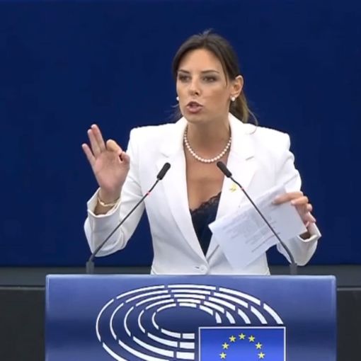 Tovaglieri: «Bruxelles si indigna per diritti femminili negati, ma promuove il velo incoraggiando deriva islamista»