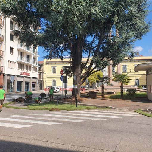 VIDEO. Il messaggio dell’assessore ai cittadini: «Non concentratevi sulla viabilità, ma sulla piazza. E viviamola»