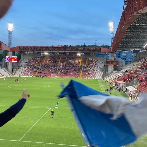 La Triestina si tiene i playoff, la Pro Patria l'orgoglio: 2-1