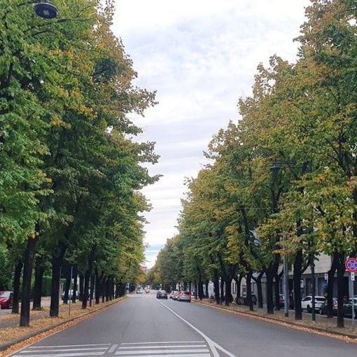 Nuvole, pioggia e schiarite. In attesa di una domenica soleggiata e di un nuovo peggioramento