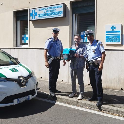 Gatto ferito, la Polizia locale di Busto “scorta” il proprietario fino al veterinario