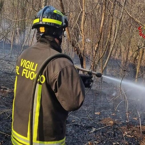 Ancora un incendio nei boschi: vigili del fuoco a Samarate. FOTO