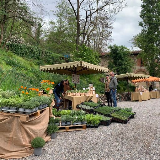 Fai: sabato 18 e domenica 19 torna Herbarium al Monastero di Torba