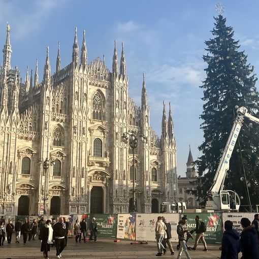 LA FOTO.  Milano al lavoro per il suo Albero (e quest'anno non viene dalla nostra provincia)