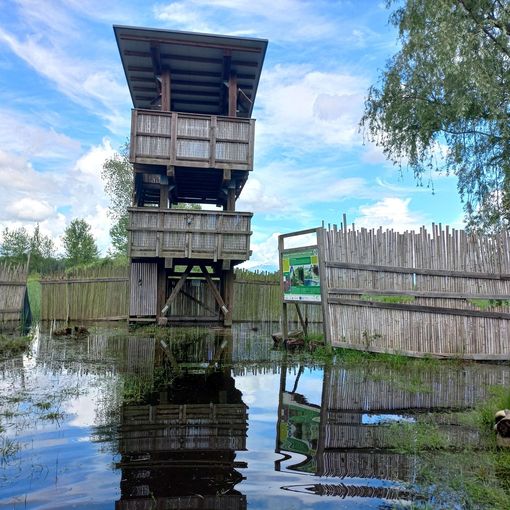 FOTO. La Palude Brabbia allagata, dieci anni dopo ancora uno spettacolo eccezionale