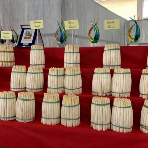 Ottantatreesima Fiera dell'Asparago in programma per gli ultimi due weekend di maggio