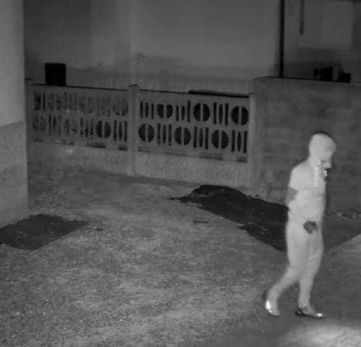 Le immagini riprese dalla videosorveglianza dell'abitazione e pubblicate da ilSaronno.it