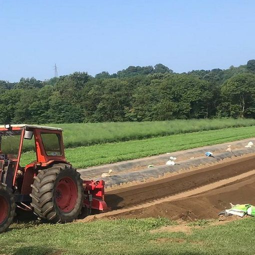 Energia, Coldiretti: caro bolletta costa 9 miliardi  all’agricoltura e colpisce anche il made in Varese