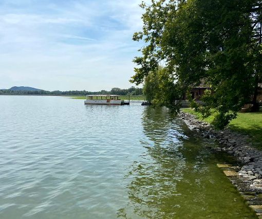 Isolino Virginia in primavera: il 27 aprile e il 18 maggio visite guidate al bene Unesco