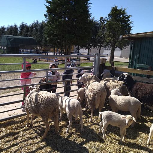 Foto tratta dalla pagina Facebook agriturismo Ai Boschi di Origgio