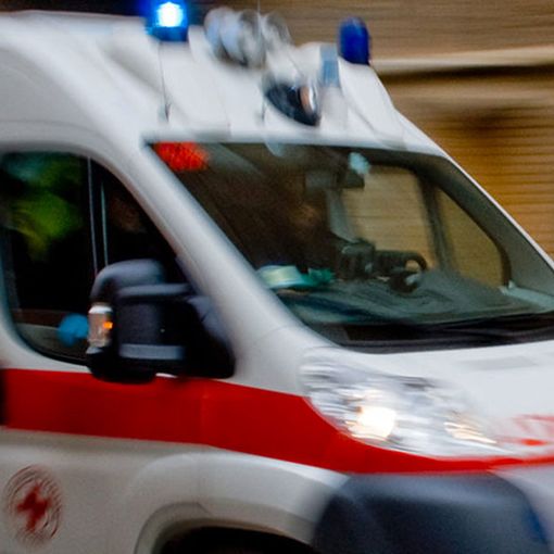 Anziano aggredito da tre cani nei boschi di Vizzola Ticino: trasportato al pronto soccorso con una ferita al polpaccio