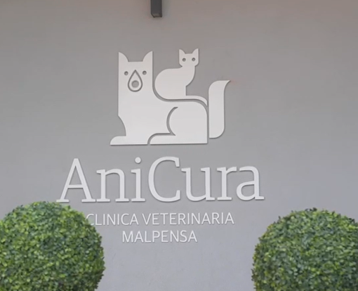 Target. Nella seconda puntata spazio alla clinica veterinaria AniCura di Malpensa