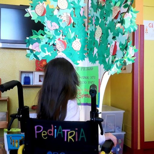 Il miracolo dei melograni pieni di frutti...