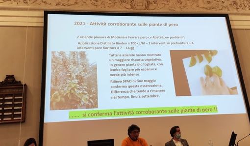 BioDea - risposte scientifiche nel workshop di venerdì 25 febbraio