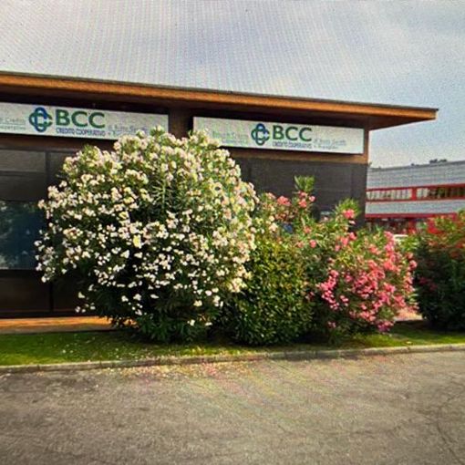 La filiale della Bcc di Bodio Lomnago
