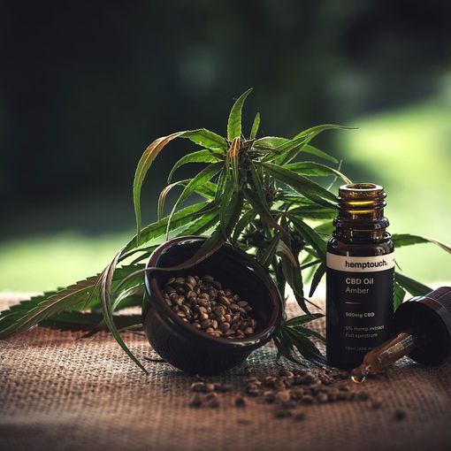 Tutti i metodi di coltivazione della cannabis light in Italia