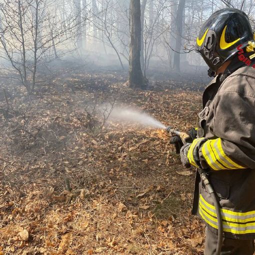 VIDEO E FOTO. Sotto controllo l'incendio al parco Campo dei Fiori