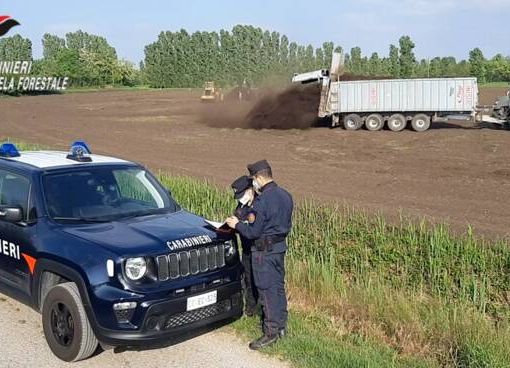Il bilancio del 2021 dei Carabinieri Forestali della Lombardia: 1256 le persone denunciate, 11 gli arresti. Le multe comminate superano i 9 milioni di euro