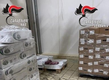 Carne scaduta da 5 anni e alimenti mal conservati: sequestrati 90 quintali di prodotti in un salumificio industriale del Verbano Cusio Ossola