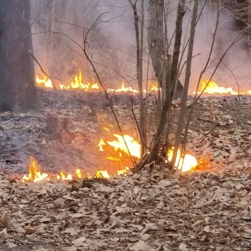L'incendio nella Valle del Boia a Cavaria con Premezzo