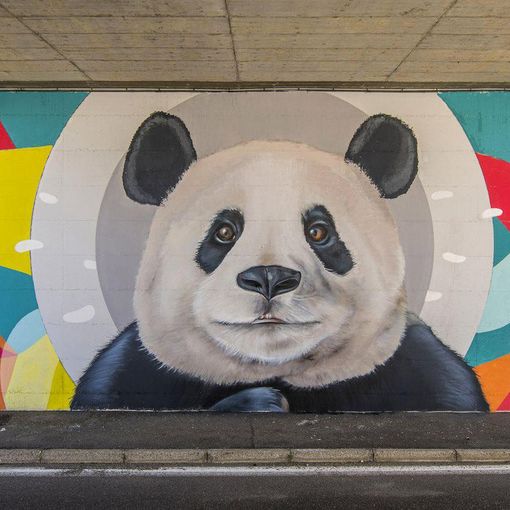 Il murales preso di mira dai vandali con un lancio di uova a Cavaria con Premezzo (foto dal Comune)
