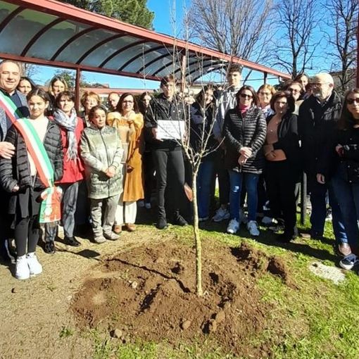 FOTO. Tutta Daverio ricorda la maestra Milena piantando un melograno: «Simbolo della vita e della natura che tanto amava»