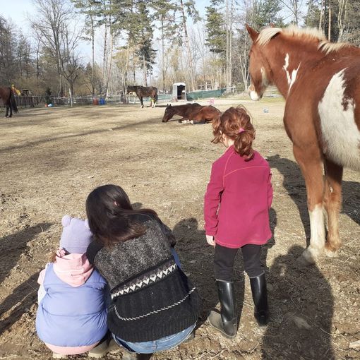 A Gornate Olona, un percorso per «far vivere ai bambini la natura a tutto tondo attraverso il gioco con i cavalli»