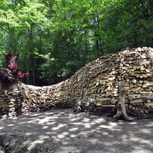 C'è un drago di 15 metri nei boschi di Boarezzo. L'ultima folle impresa dei &quot;maghi del legno&quot; della Valganna