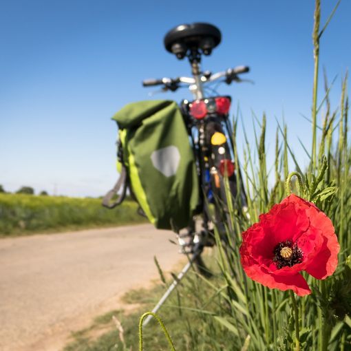 Ciclovia del lago Maggiore, pronto il progetto per il tratto Mercallo-Angera