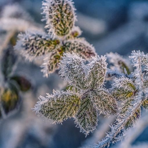 Temperature in calo, il Centro Geofisico Prealpino: «Possibile nevischio nella notte. Gelate all'alba»