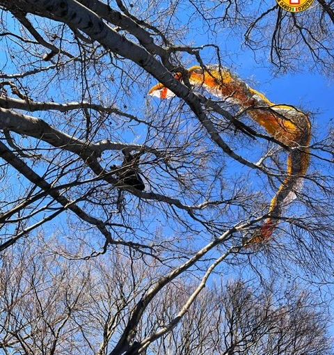 Parapendio precipita al Campo dei Fiori e finisce tra gli alberi. Intervengono Soccorso Alpino e vigili del fuoco
