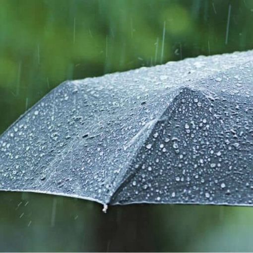 Salta l'appuntamento con la prima neve dell'anno. A Varese e in provincia temperature basse, ma per ora solo pioggia