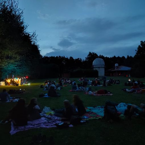 Stelle cadenti, picnic e musica al Parco Pineta