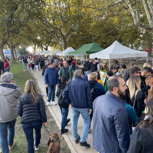 Un momento dell'edizione 2021 della Festa della Zucca di Gavirate
