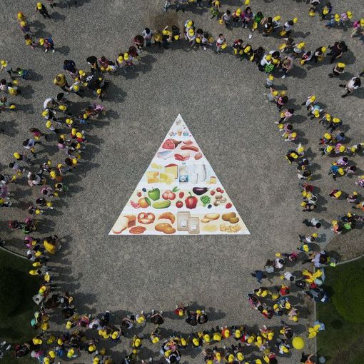 Promossa “l'agricoltura in classe” di Coldiretti